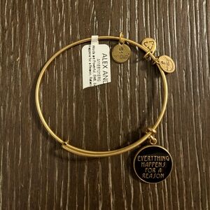NWT Alex and Ani Everything happens for a reason bracelet